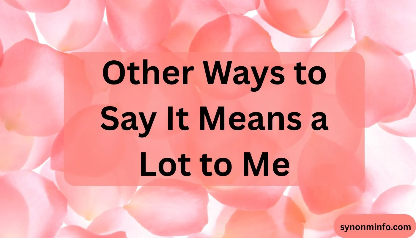 Other Ways to Say It Means a Lot to Me