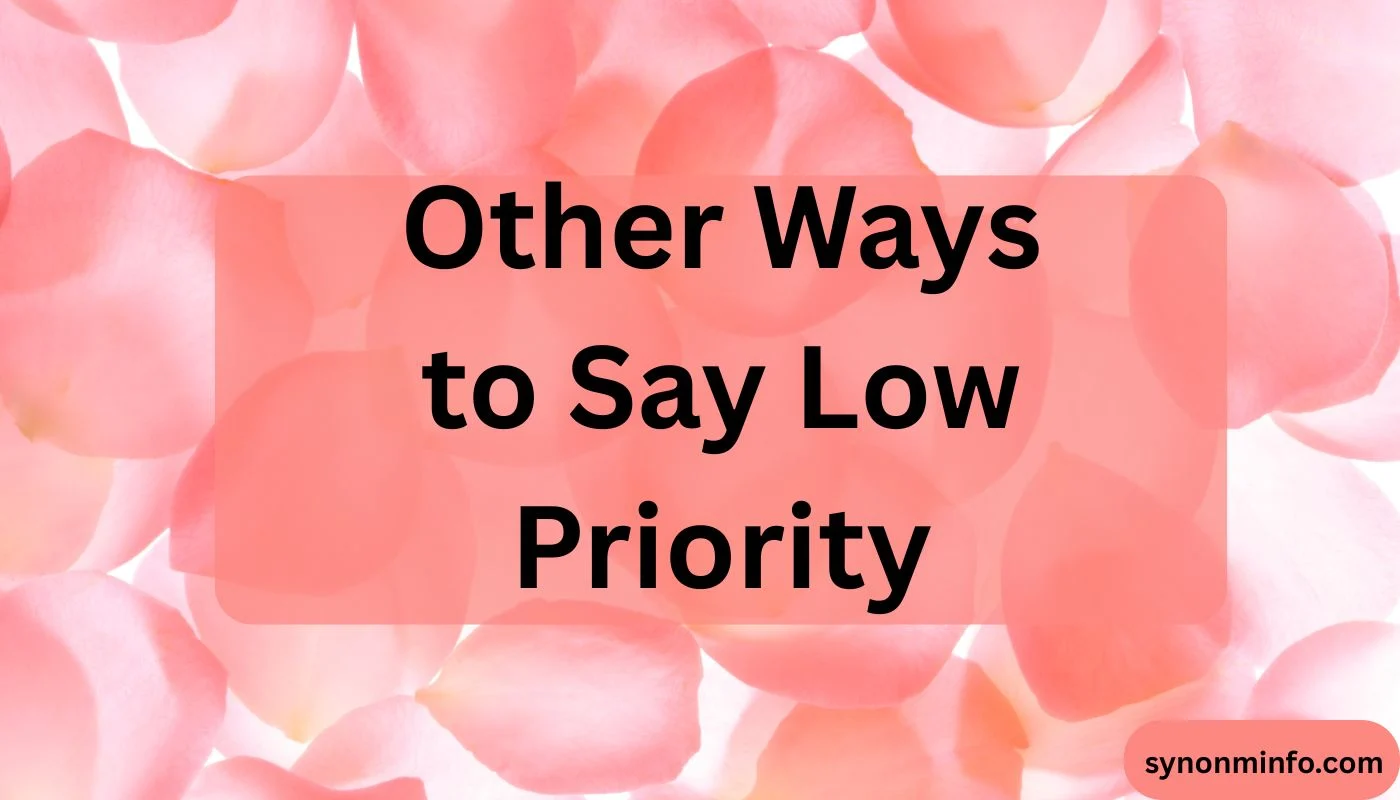 Other Ways to Say Low Priority