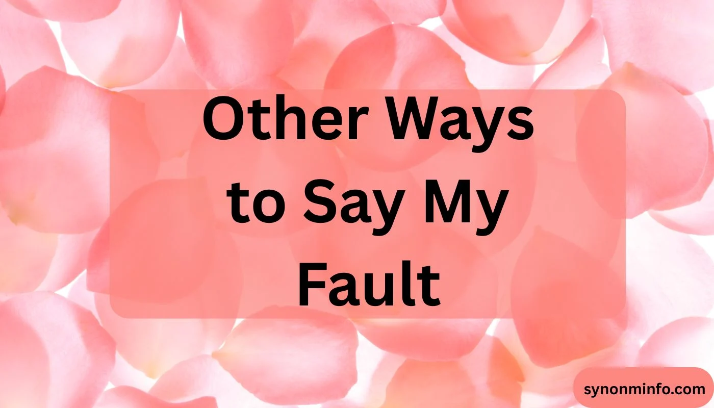 Other Ways to Say My Fault