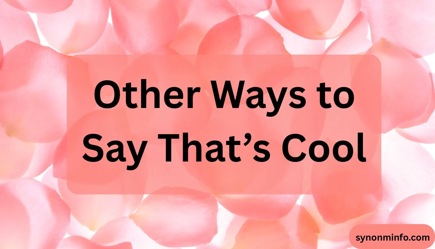 Other Ways to Say That’s Cool