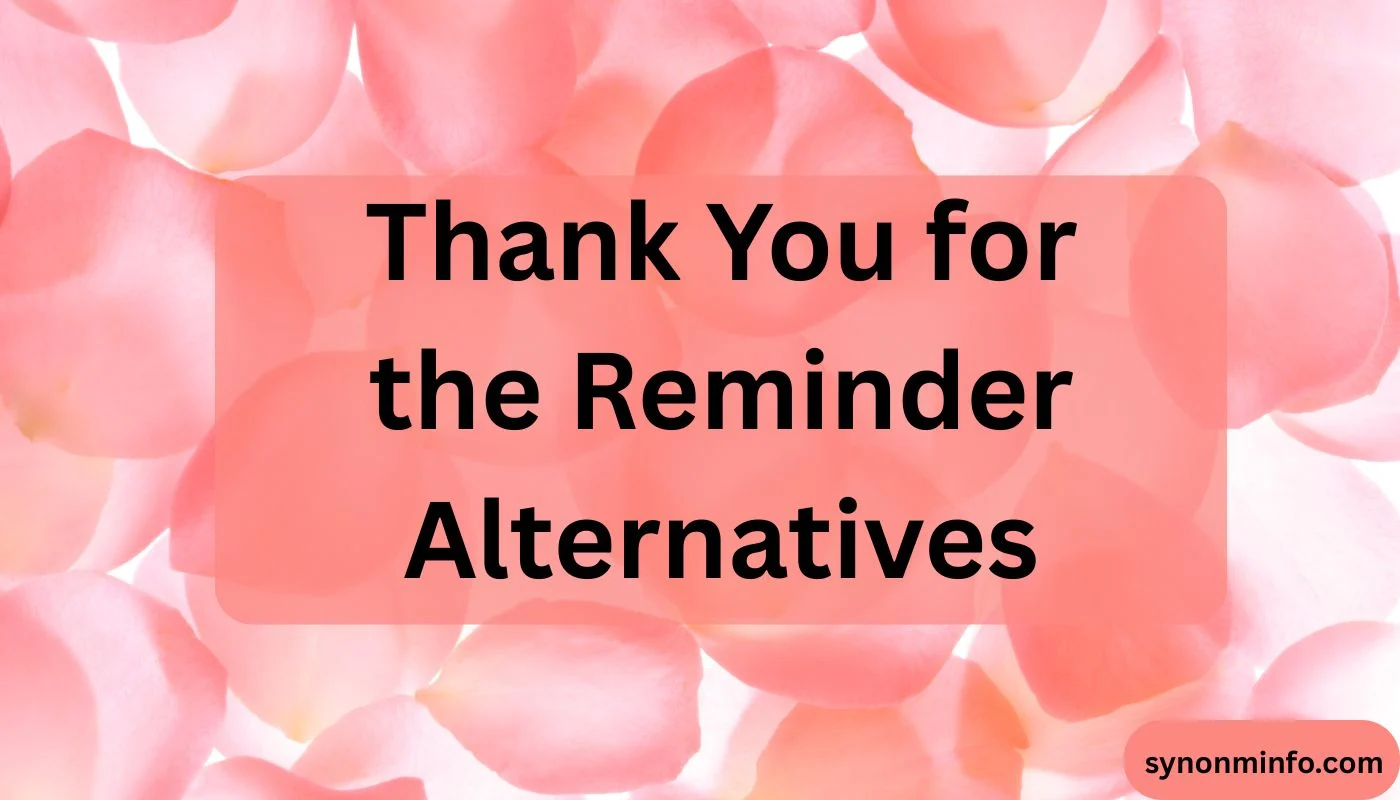 Thank You for the Reminder Alternatives